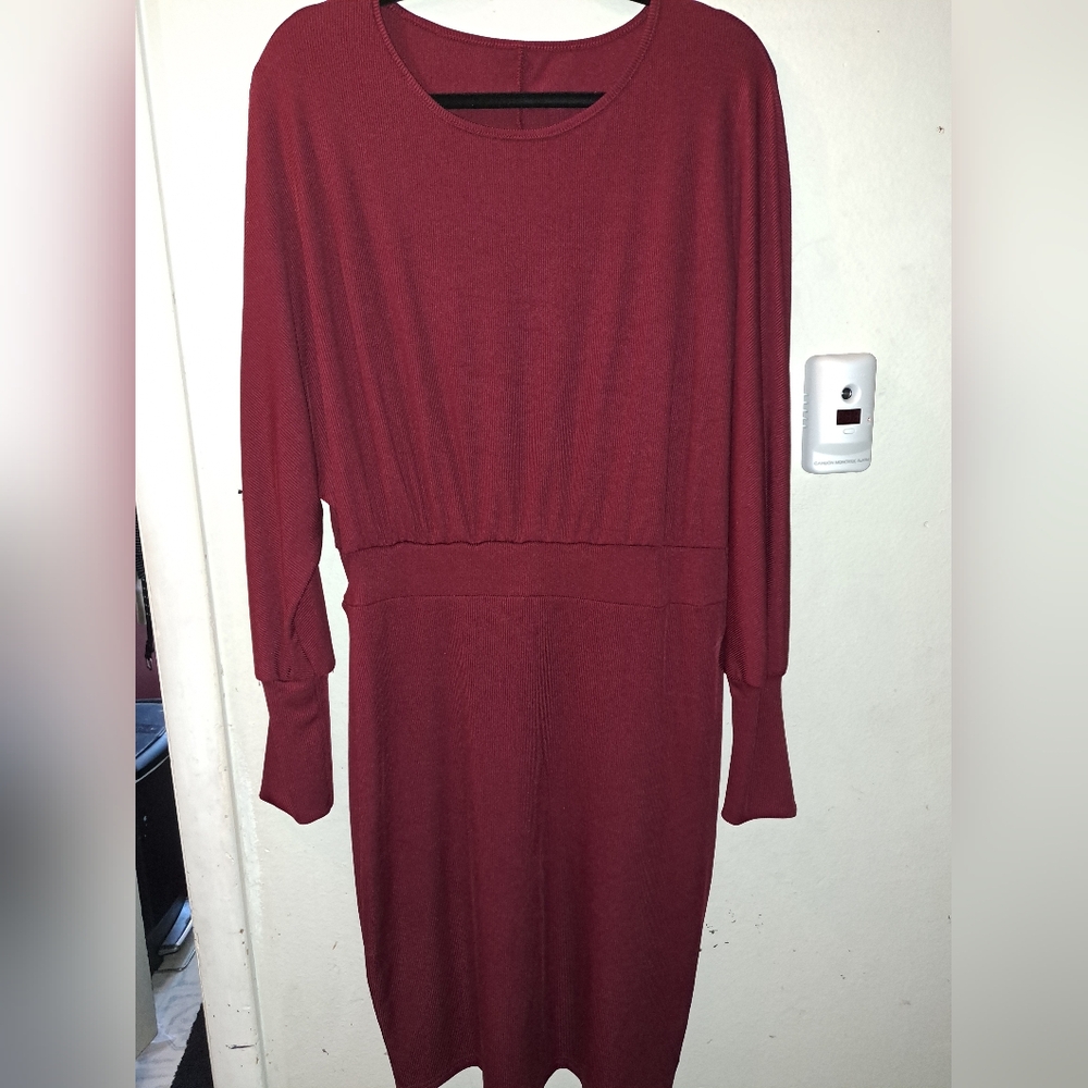 Size 12 wine red dress